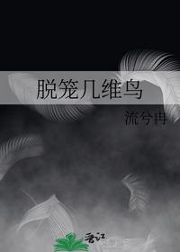 脱笼几维鸟